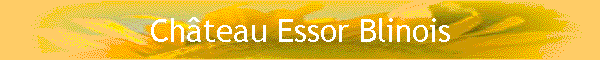 Chteau Essor Blinois