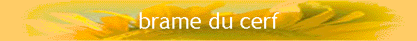 brame du cerf