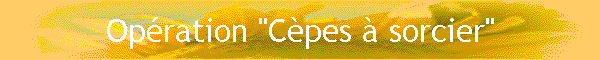 Opration "Cpes  sorcier"